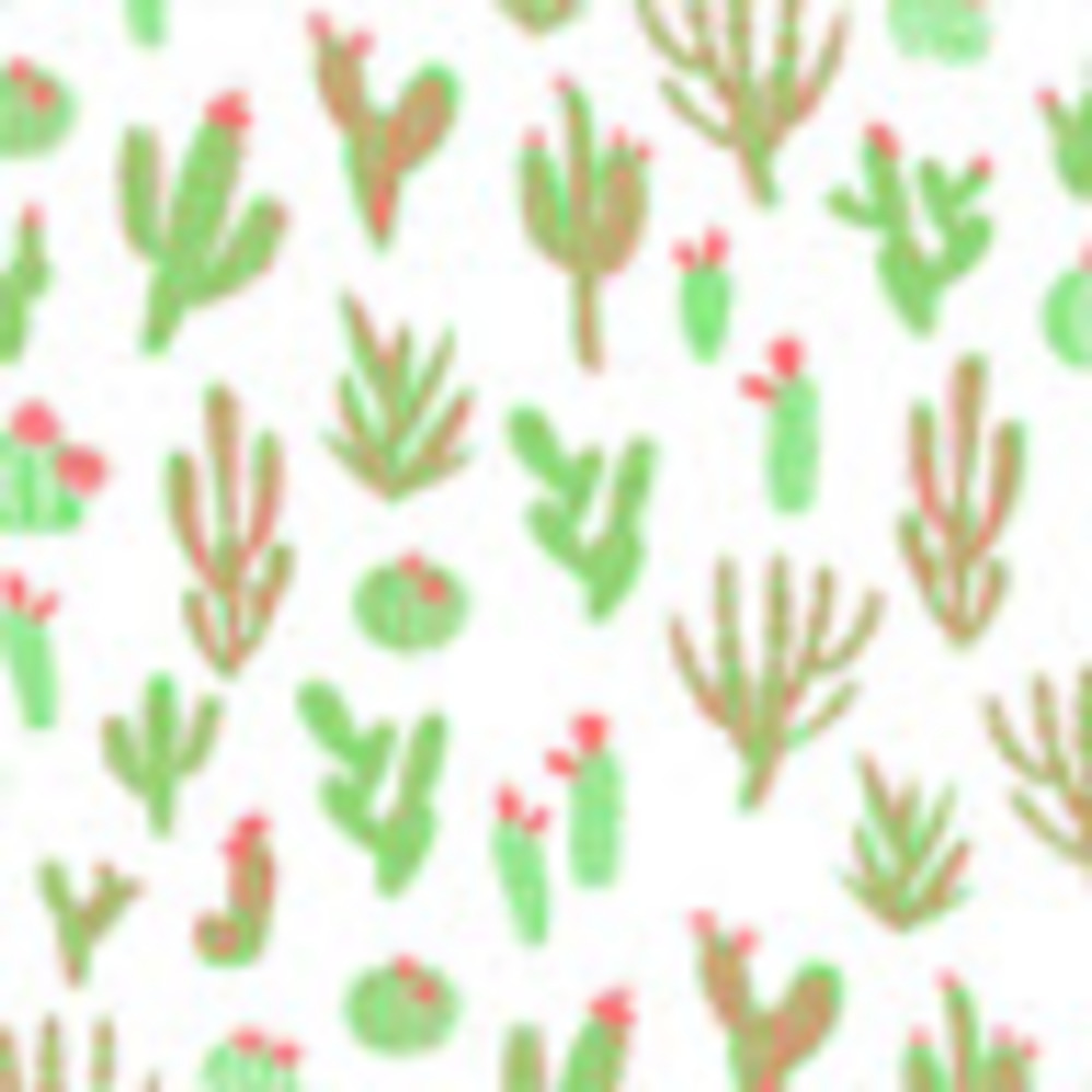 Meet your Posher, Kesha